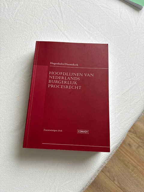 9789463173001-Hoofdlijnen-van-Nederlands-Burgerlijk-Procesrecht
