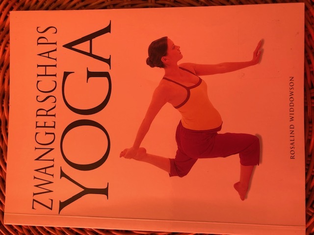 9789026924859-Zwangerschapsyoga