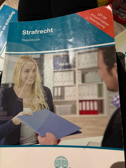 9789037260540-Strafrecht-folio