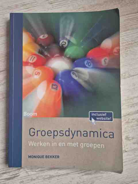 9789089539168-Groepsdynamica