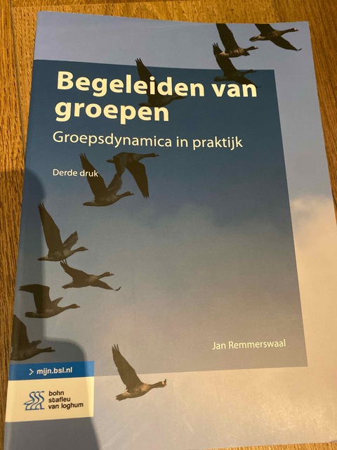 9789036807241-Begeleiden-van-groepen