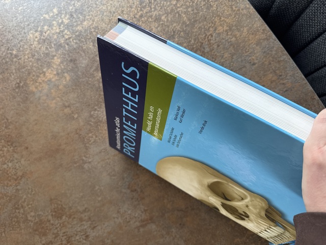 9789036816342-Hoofd-hals-en-neuroanatomie