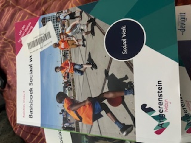 9789037244045-Basisboek-sociaal-werk