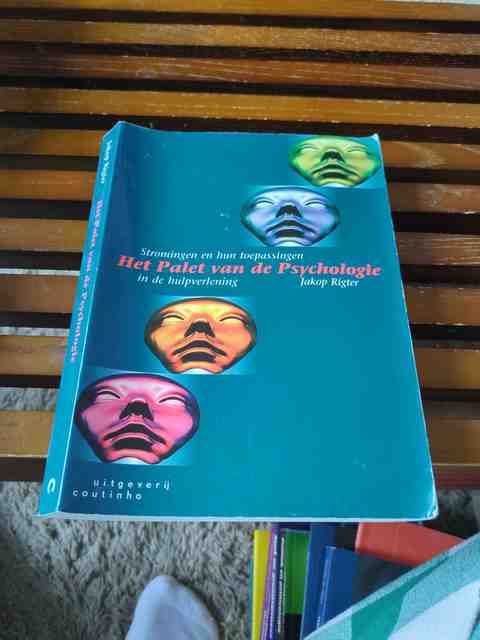 9789062830305-Palet-van-de-psychologie-3dr