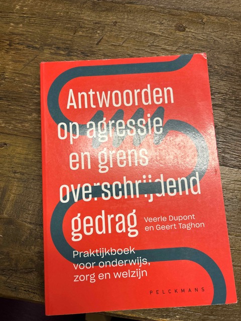 9789463371667-Antwoorden-op-agressie-en-grensoverschrijdend-gedrag
