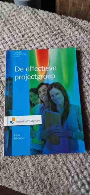 9789001779917-De-effectieve-projectgroep