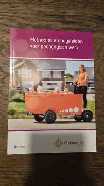 9789037244052-Methodiek-en-begeleiden-voor-pedagogisch-werk