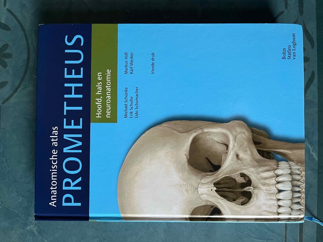 9789036816342-Hoofd-hals-en-neuroanatomie