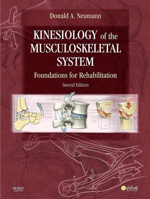 9780323039895-Kinesiology-of-the-Musculoskeletal-System