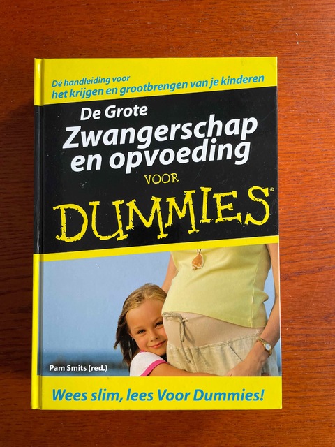 9789043016407-De-Grote-Zwangerschap-en-opvoeding-voor-Dummies