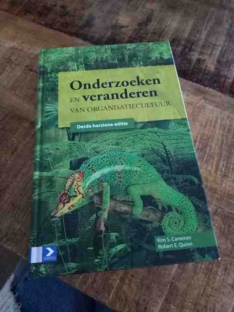 9789052618890-Onderzoeken-en-veranderen-van-organisatiecultuur