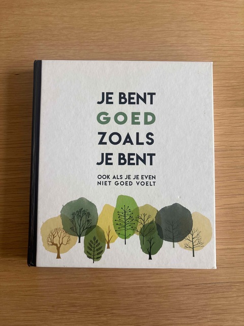 9789463544559-Je-bent-goed-zoals-je-bent