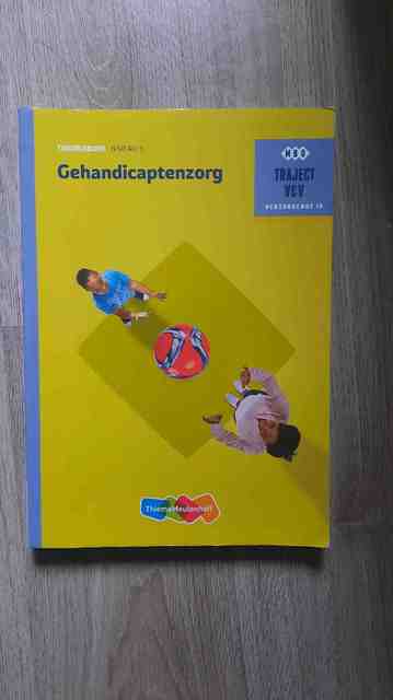 9789006910278-Gehandicaptenzorg--niveau-3