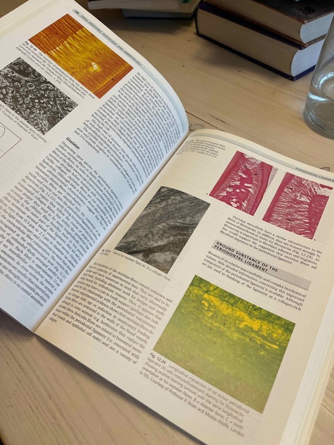 9780723431817-Oral-Anatomy-Embryology-and-Histology