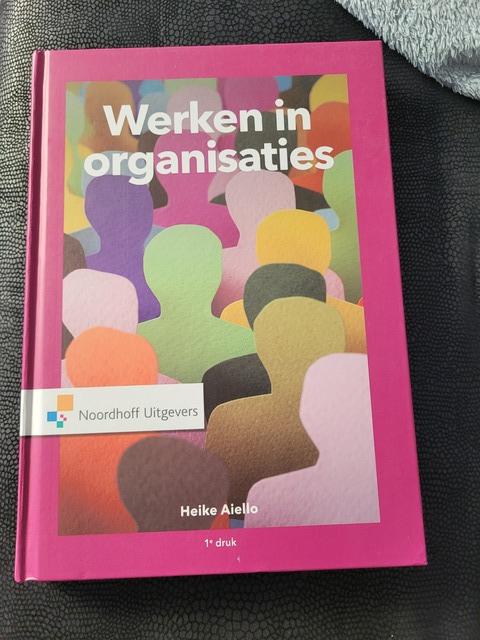 9789001834265-Werken-in-organisaties
