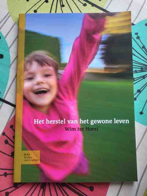 9789031329939-Het-herstel-van-het-gewone-leven