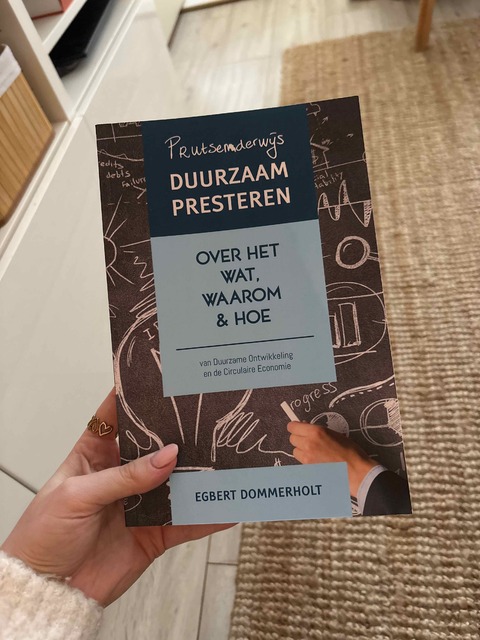 9789463890311-Prutsenderwijs-duurzaam-presteren