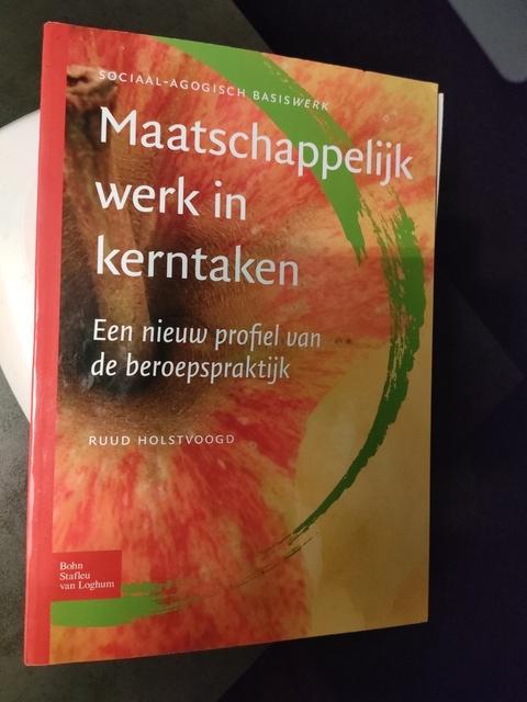 9789031347261-Maatschappelijk-werk-in-kerntaken