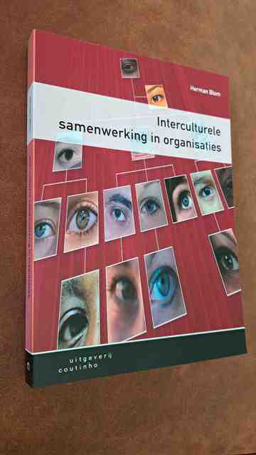 9789046900840-Interculturele-samenwerking-in-organisaties
