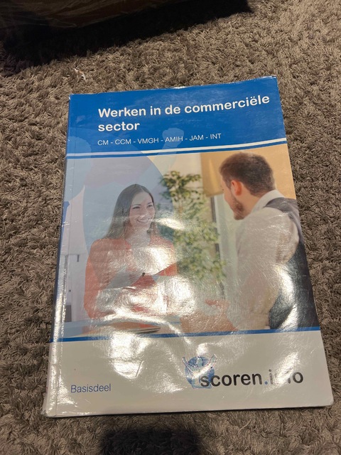 9789037244953-Werken-in-de-commerciele-sector