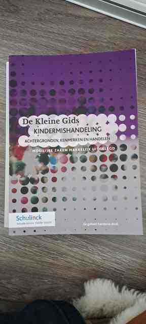 9789013153033-De-Kleine-Gids-Kindermishandeling