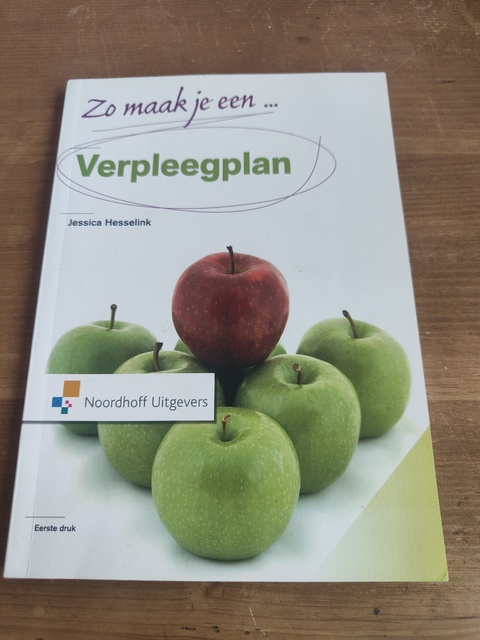 9789001804961-Zo-maak-je-een-verpleegplan