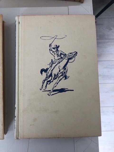 9789049910044-Arendsoog-in-de-knel