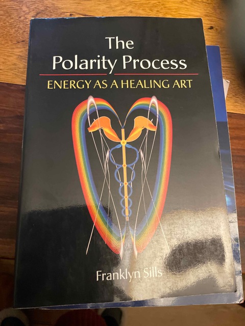 9781556434105-The-Polarity-Process