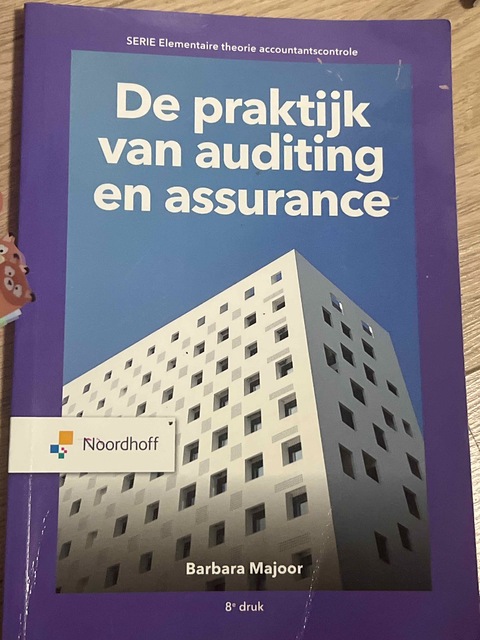 9789001738730-De-praktijk-van-auditing-en-assurance