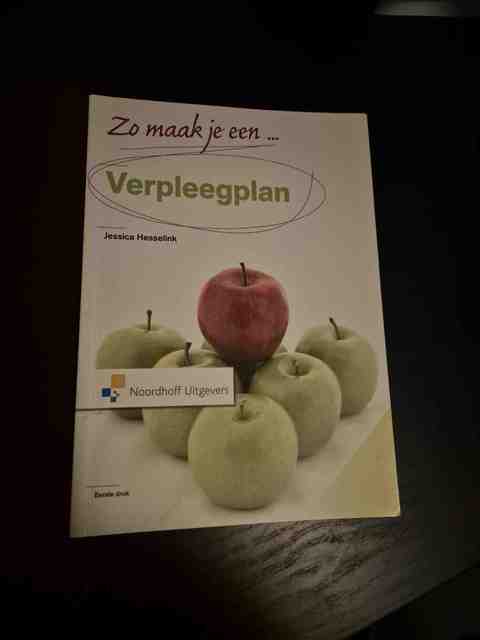 9789001804961-Zo-maak-je-een-verpleegplan