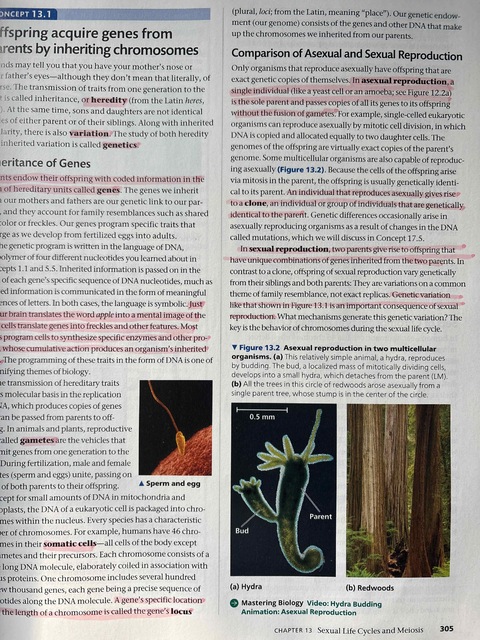 9781292341637-Biology-A-Global-Approach-Global-Edition