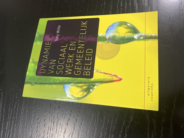 9789046906873-Dynamiek-van-sociaal-werk-en-gemeentelijk-beleid