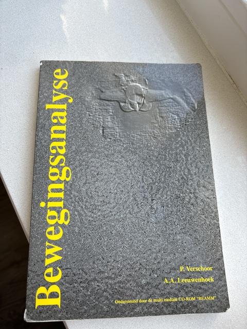 9789080023819-Bewegingsanalyse