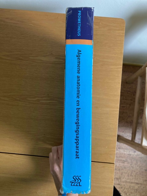 9789031379347-Algemene-anatomie-en-bewegingsapparaat