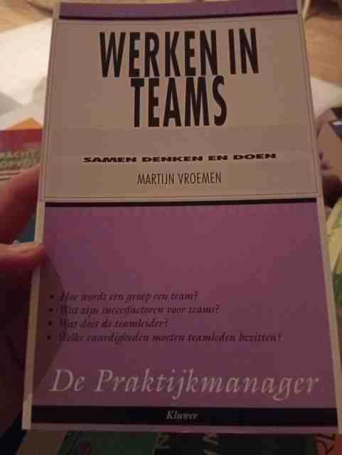 9789026721137-Werken-in-teams-druk-1
