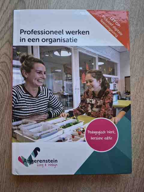 9789037264340-Professioneel-werken-in-een-organisatie