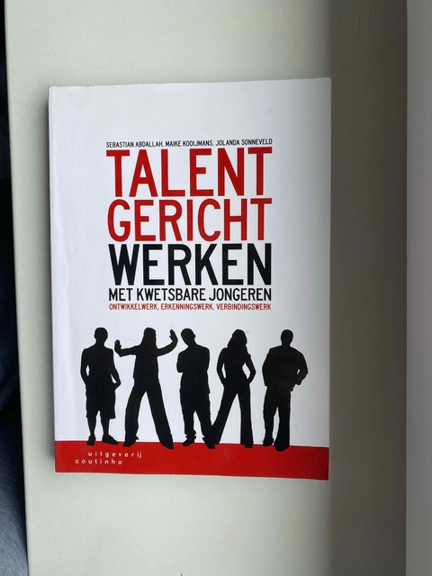 9789046904916-Talentgericht-werken-met-kwetsbare-jongeren
