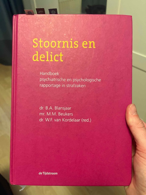 9789058981424-Stoornis-en-delict