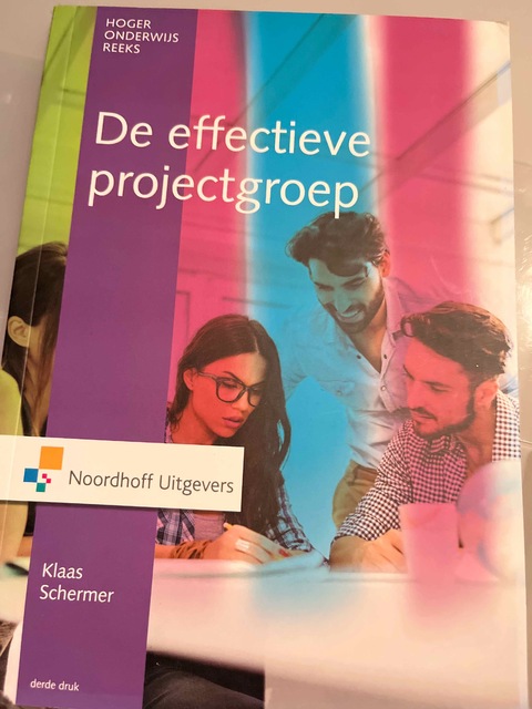 9789001866297-De-effectieve-projectgroep