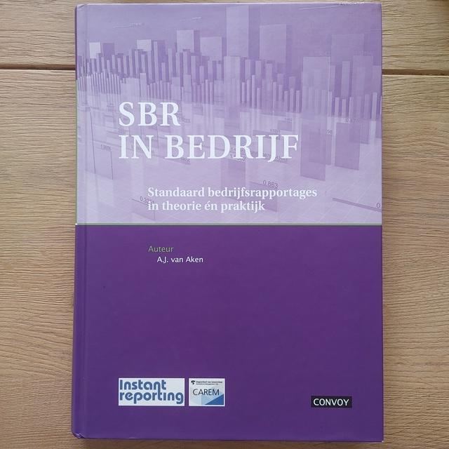 9789079564965-SBR-in-bedrijf