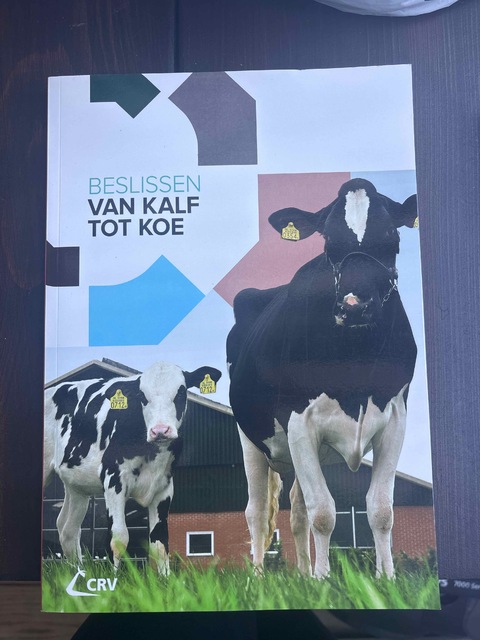 9789081096669-Beslissen-van-kalf-tot-koe