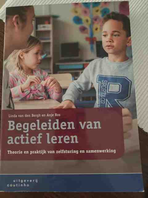 9789046907719-Begeleiden-van-actief-leren