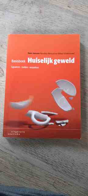 9789046906576-Basisboek-huiselijk-geweld