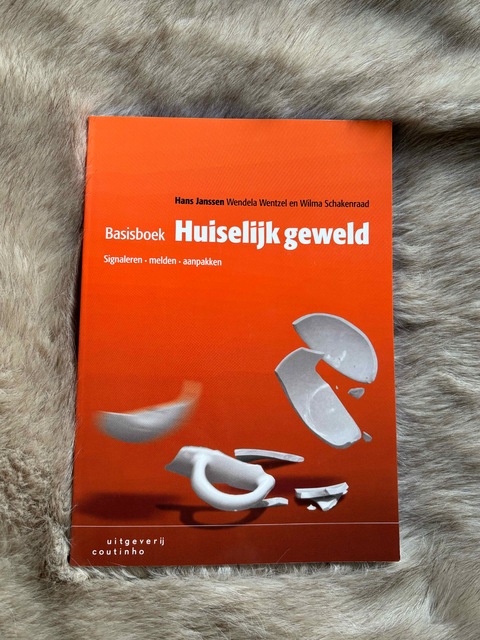 9789046906576-Basisboek-huiselijk-geweld