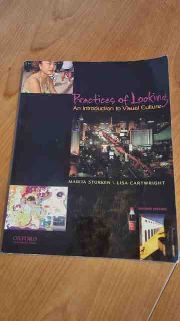 9780195314403-Practices-of-Looking