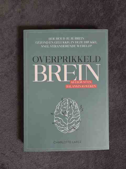9789043924887-Overprikkeld-brein