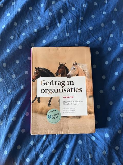 9789043037204-Gedrag-in-organisaties