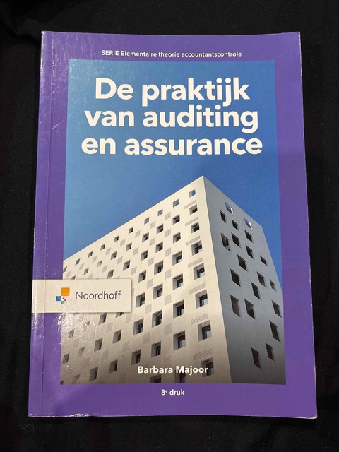 9789001738730-De-praktijk-van-auditing-en-assurance