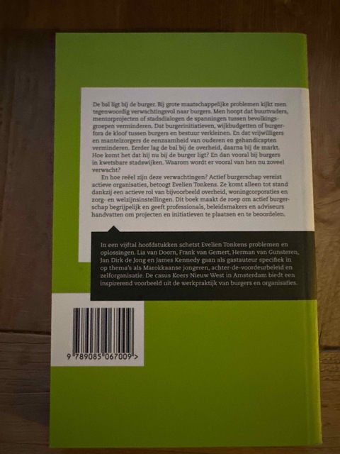 9789085067009-Tussen-onderschatten-en-overvragen