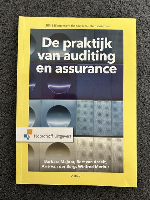 9789001867126-De-praktijk-van-auditing-en-assurance